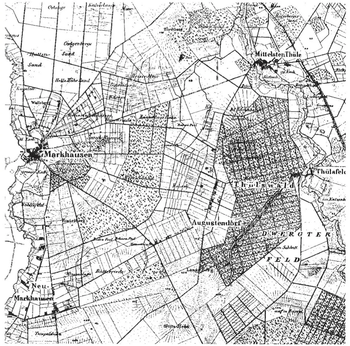 Alte Landkarte von 1909: zwischen Markhausen, Augustendorf und Thüle große aufgeforstete Flächen, dazwischen gerade Parzellen.