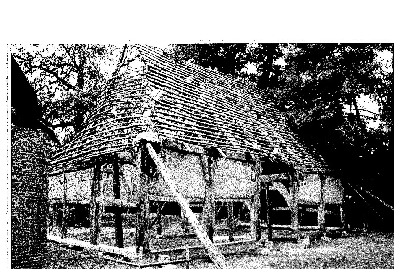 Das freigelegte Ständerfachwerk der Scheune mit neuer Dachlattung während der Sanierung 1994.
